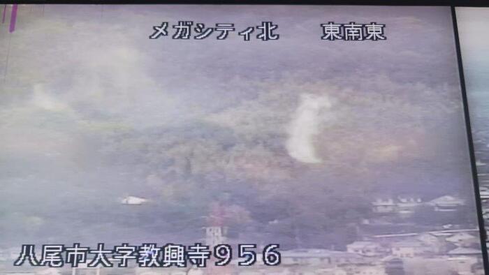 高所カメラの映像