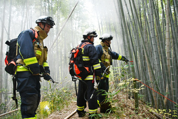 火点を指さし、消火活動に当たる消防士たち