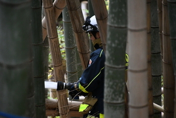 林の中で放水する消防士