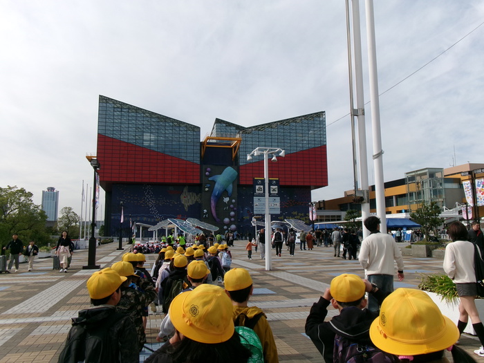 2年生秋の遠足　海遊館