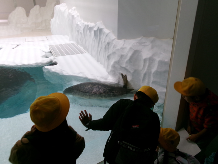 2年生秋の遠足　海遊館