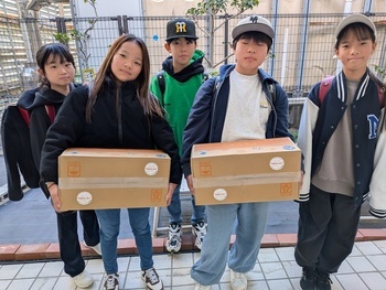 コマツナ箱詰め