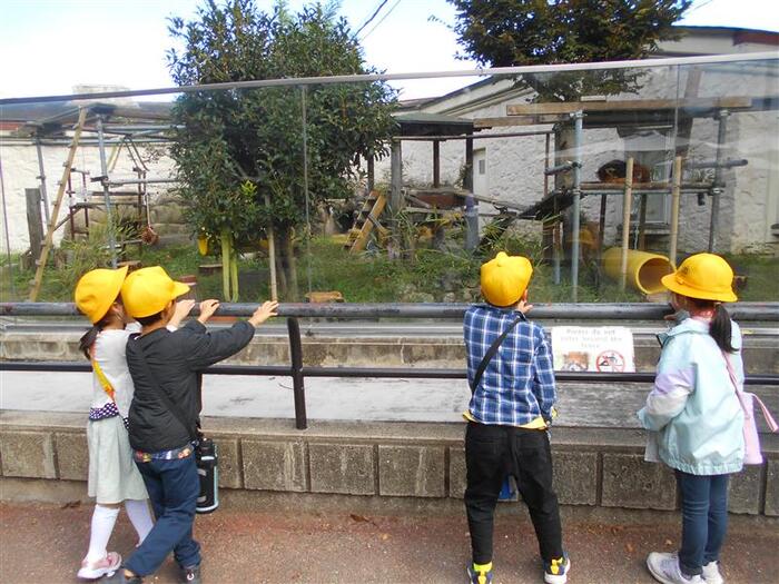 1年秋の遠足 天王寺動物園