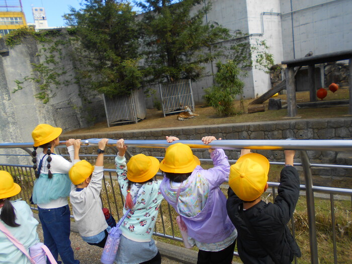 1年秋の遠足　天王寺動物園