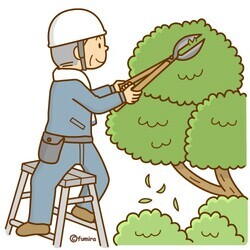 植木剪定イメージ