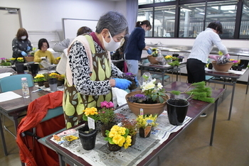 寄せ植えの作業