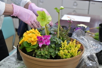 大きな鉢に花材を配置
