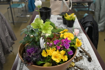 シクラメンを前面においた作品