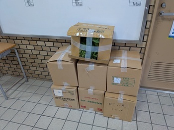 箱詰めした白菜