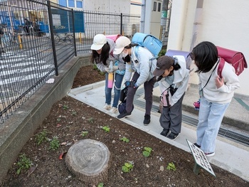 花を見つけた児童