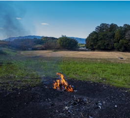 野焼き
