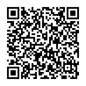 キッズ・ボールパーク申込専用フォーム（Google）