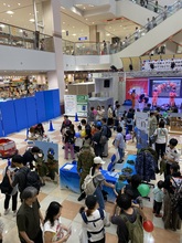 全体写真
