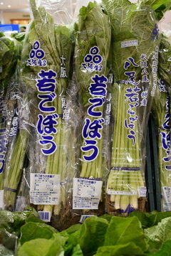 袋に入った八尾若ごぼう