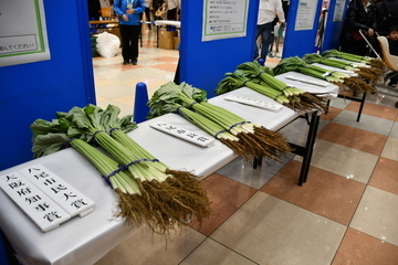 品評会で表彰された若ごぼう