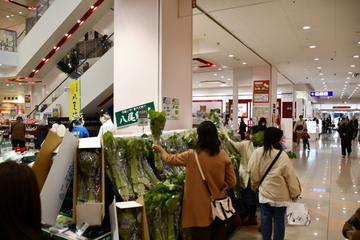 売られている若ごぼうの品定めを行うお客さん