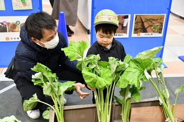 収穫体験をする親子