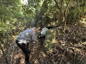 高安千塚古墳群の見回り