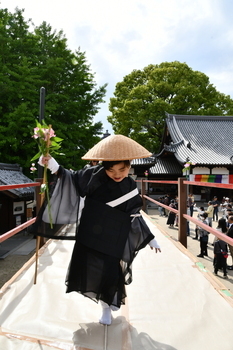 楽しそうに回路の上を練り歩く親鸞
