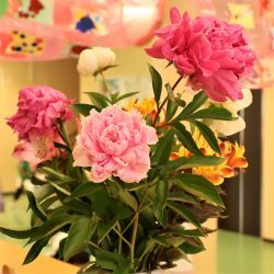 しゃくやくの花