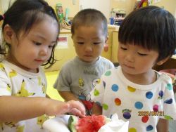 割れたスイカの種に手を伸ばす子どもの写真