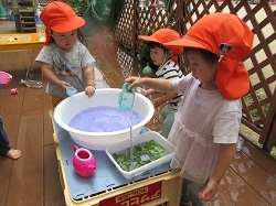 子どもが水遊びをしています