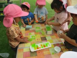 カラフルな寒天に触れて遊んでいる写真