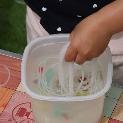 はるさめ遊び
