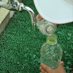 ボールからペットボトルに水を移す