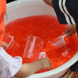 赤い水の入ったたらい