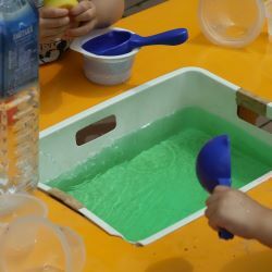 たらいの緑の水