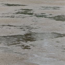 水たまり
