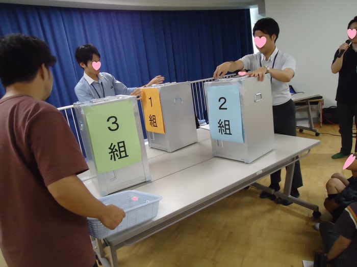 6年生、投票体験
