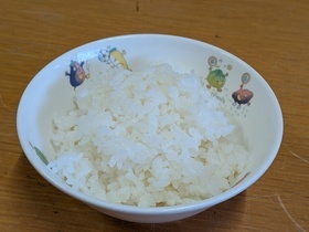 お茶碗一杯のごはん