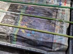 新聞紙かぶせる