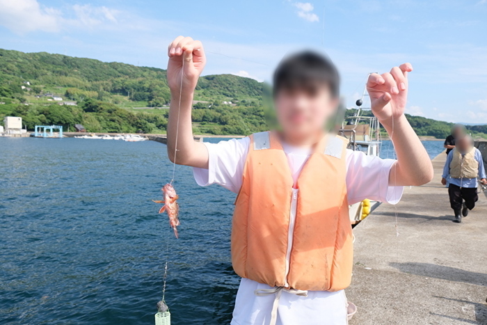 honmamon2