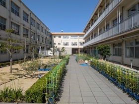 中庭