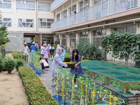 草花を運ぶ2