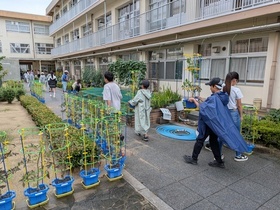 とまとを運ぶ