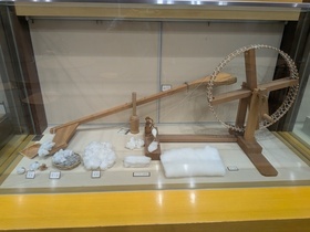 わたの展示物