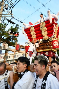 玉祖神社の夏季祭礼（高安まつり）4