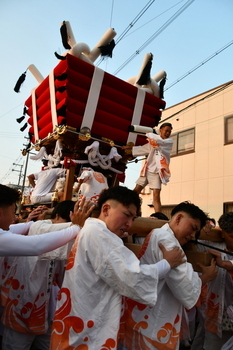 玉祖神社の夏季祭礼（高安まつり）5