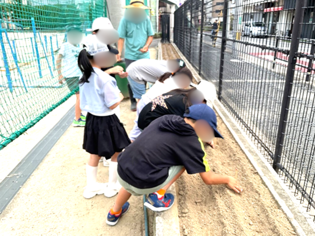 えだまめ栽培する子どもA