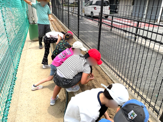 えだまめ栽培をする子どもB