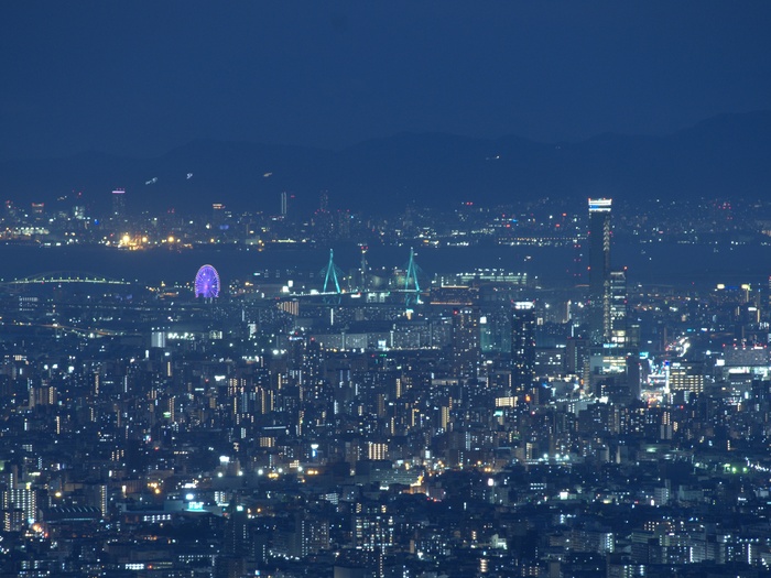 高安山駅展望台からの夜景
