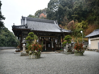 玉祖神社の写真