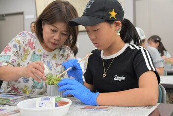 多肉植物の寄せ植えに真剣に取り組む児童