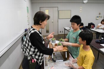 多肉植物の寄せ植えに取り組む児童
