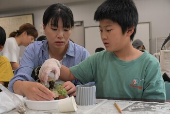 多肉植物の寄せ植えに挑戦する児童