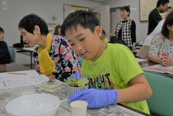 多肉植物の寄せ植えに挑戦